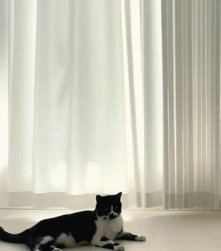 Тюль антикоготь на заказ