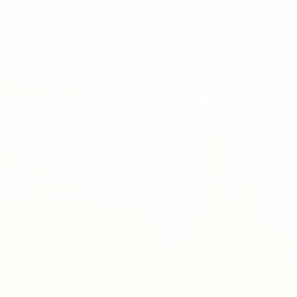 Портьерная ткань 2492-11