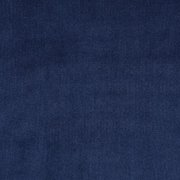 Портьерная ткань EVD-SAP-17